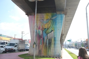 grafitti perto do Parque da Juventude.